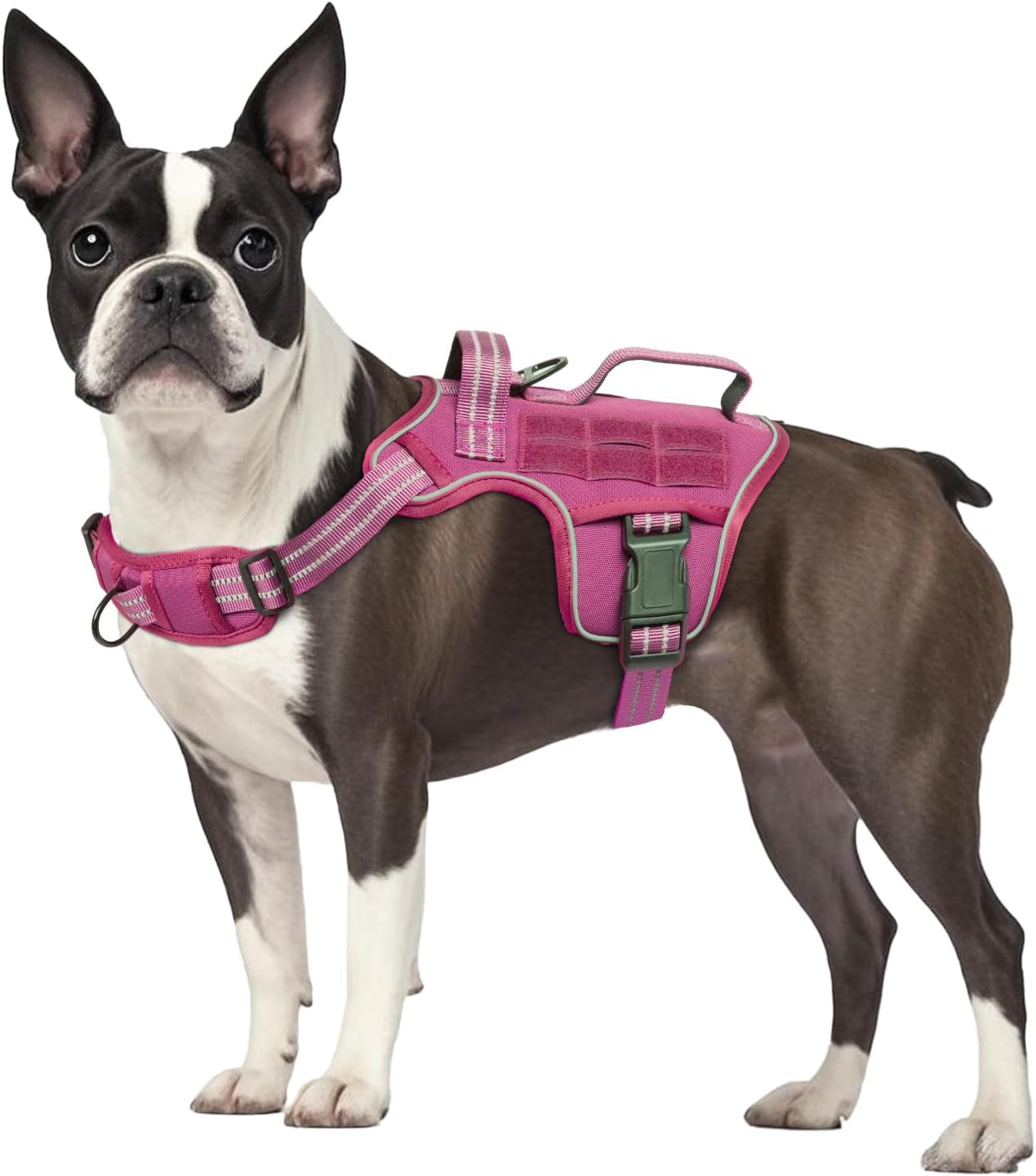 No Pull Tactical Dog Harness