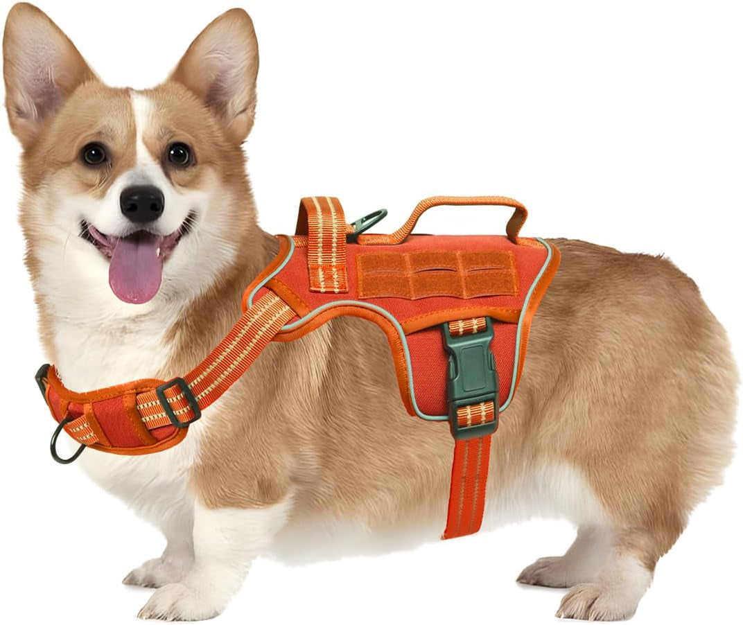 No Pull Tactical Dog Harness