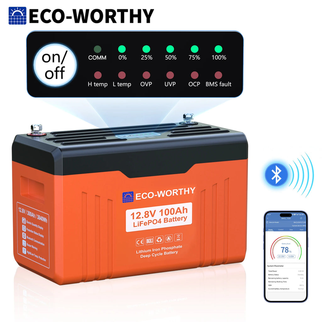12V 100AH LiFePO4 Lithium Battery with Bluetooth
