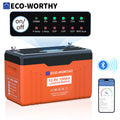 12V 100AH LiFePO4 Lithium Battery with Bluetooth