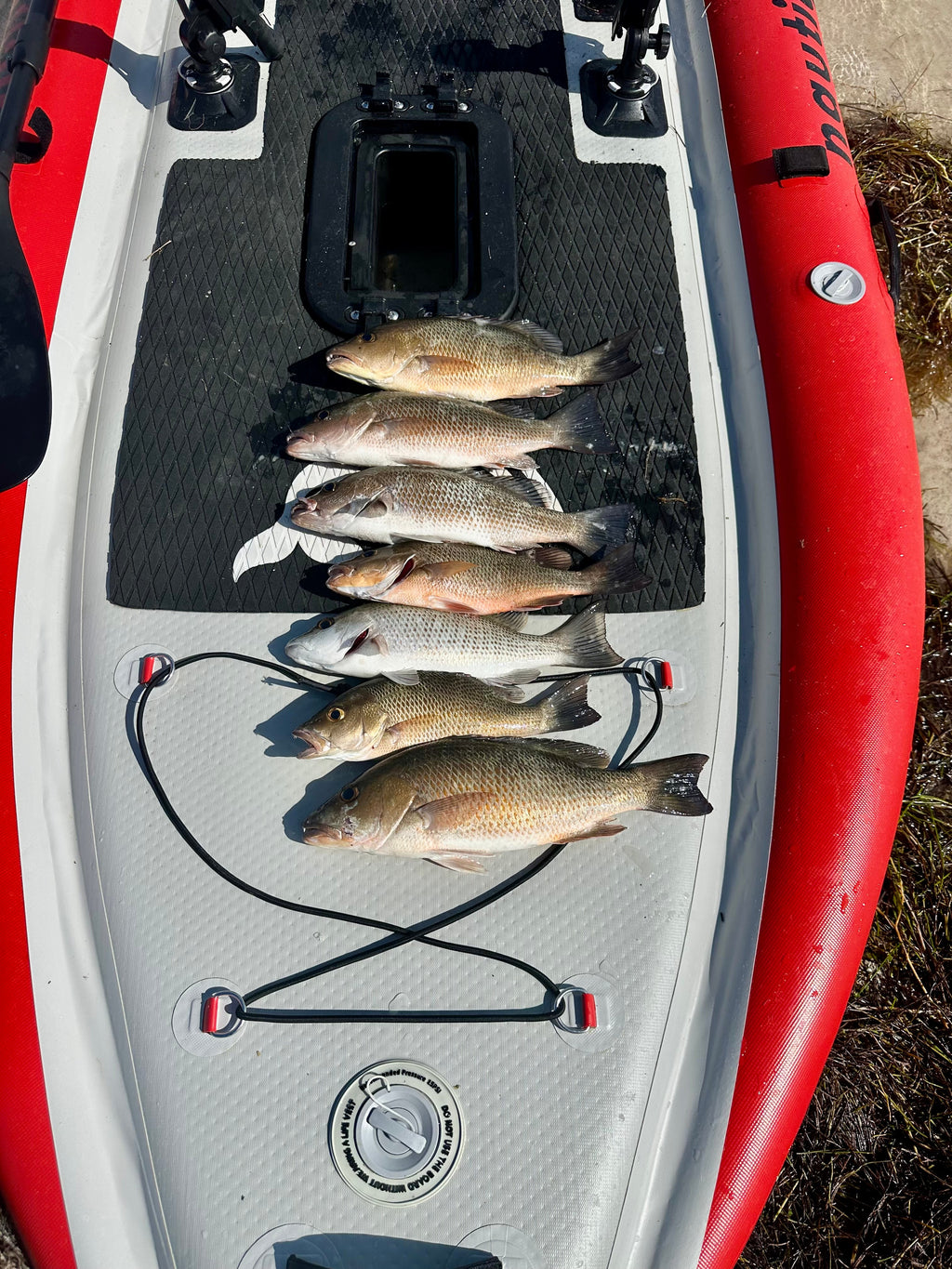 Deluxe Paddleboard Fishing Pedal Kayak