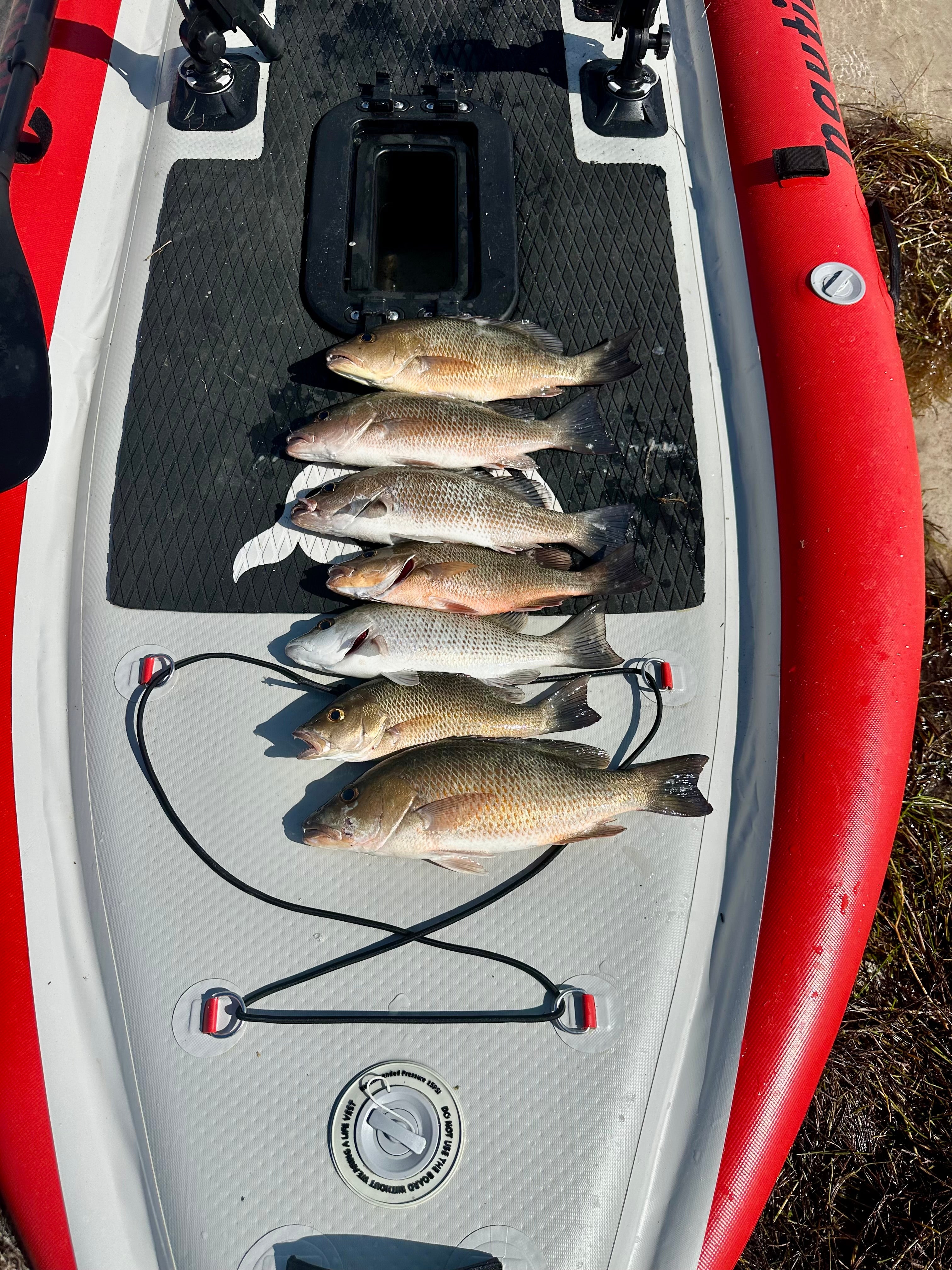Deluxe Paddleboard Fishing Pedal Kayak