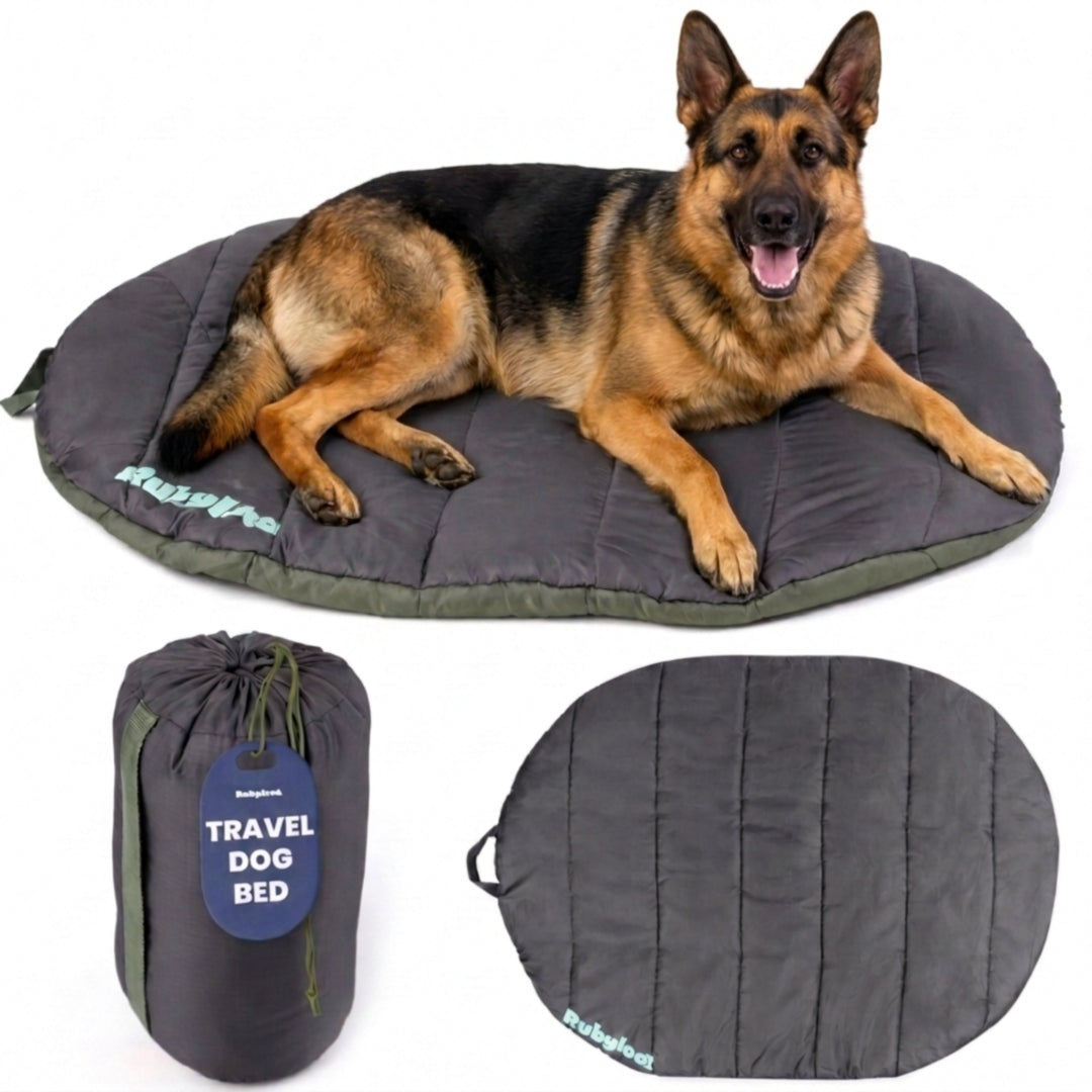 Travel Dog Bed