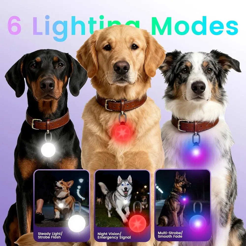 Smart Tracking Pet LED Light for iOS Only