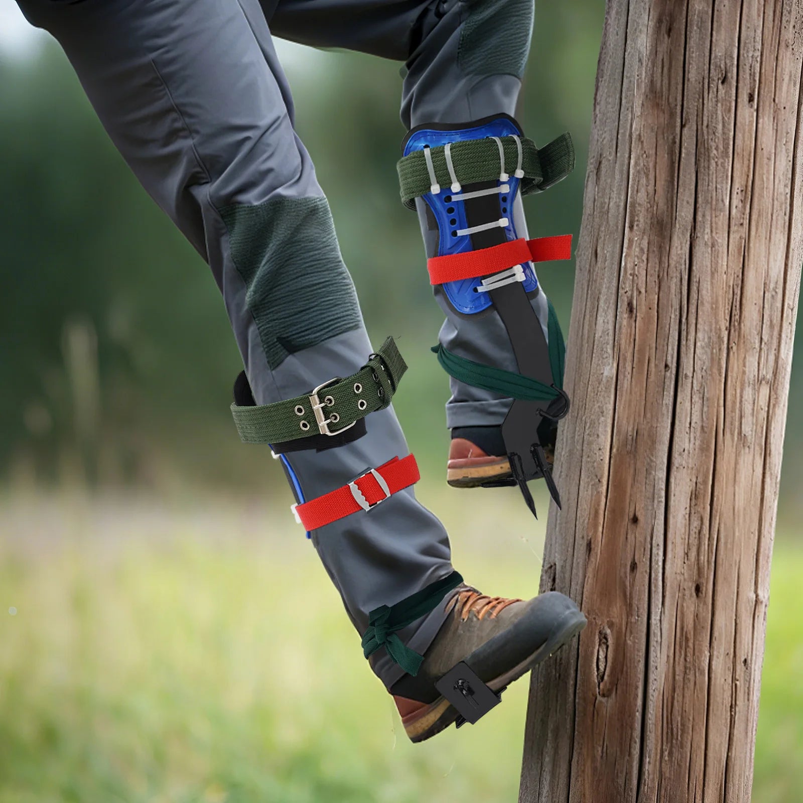 Tree Climbing Spike Kit, Portable