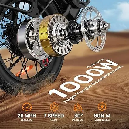 7-Speed E-Bike with Dual Disc Brake