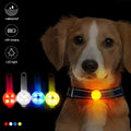 Dog collar, weatherproof LED safety light, rechargeable