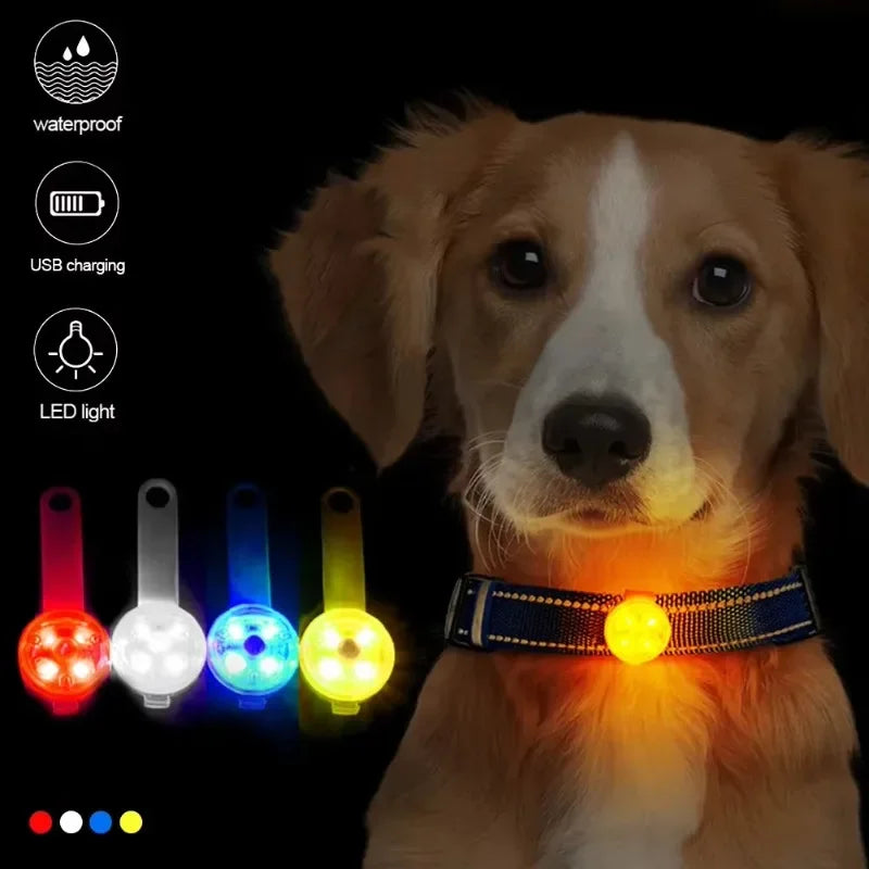 Dog collar, weatherproof LED safety light, rechargeable