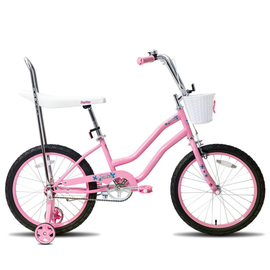 20 Inch Girls Bike with Training Wheels