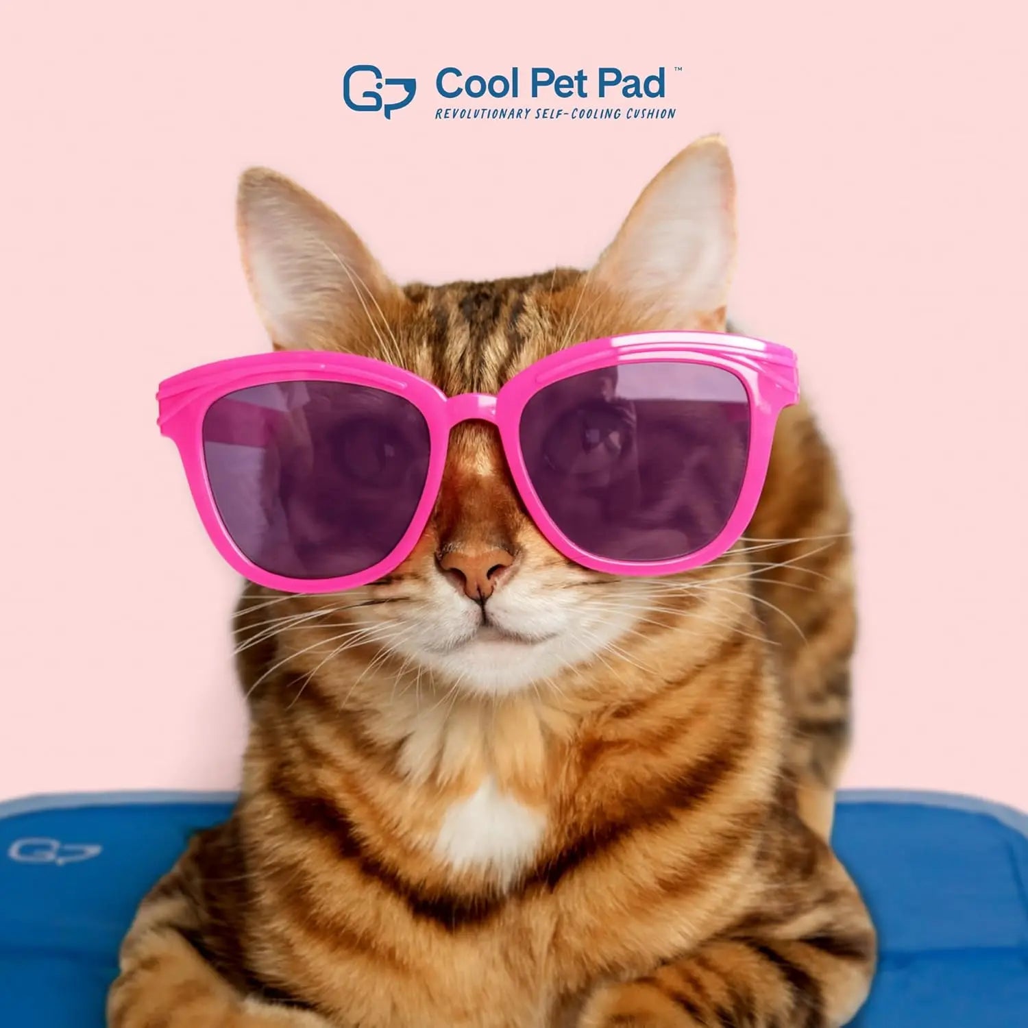 Large Blue Self-Cooling Mat Dogs & Cats