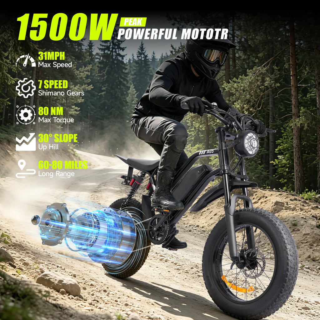Long Range Adult Off Road Electric Mountain Bike
