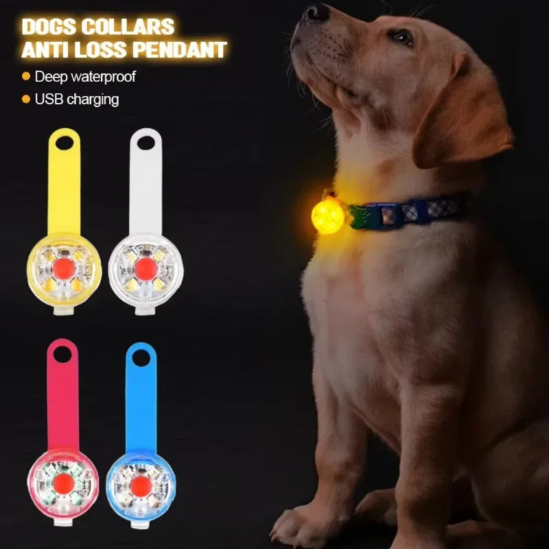Dog collar, weatherproof LED safety light, rechargeable