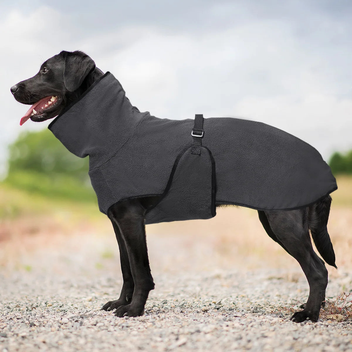 Warm Big Dog Vest Jacket