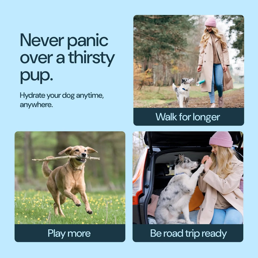 Leak Proof Pet Dog Water Bottle