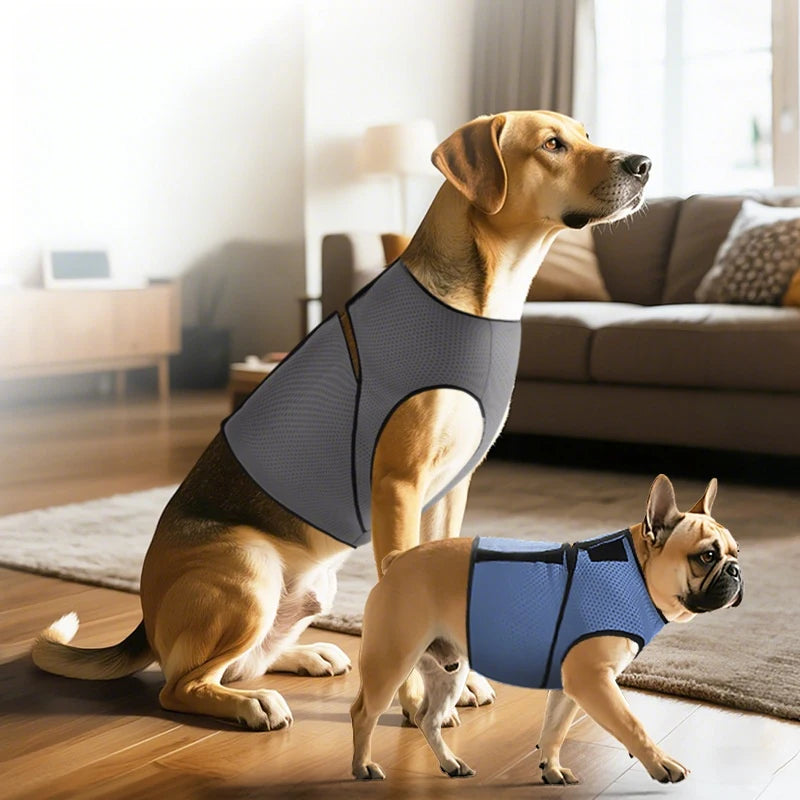 Dog Calming Vest Mesh Anxiety Relief Coat