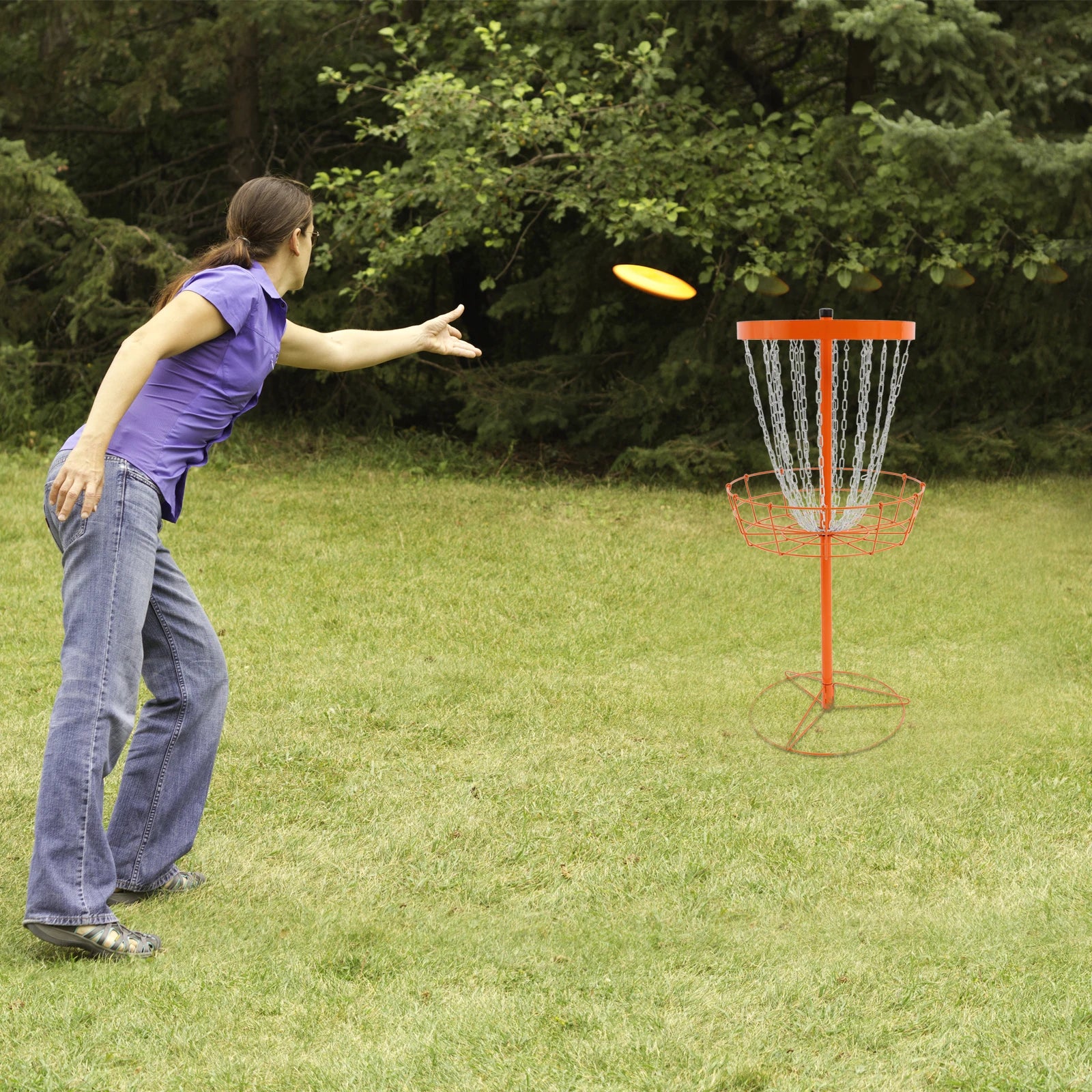 Frisbee Golf Basket