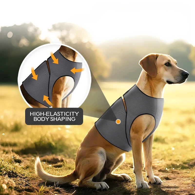 Dog Calming Vest Mesh Anxiety Relief Coat