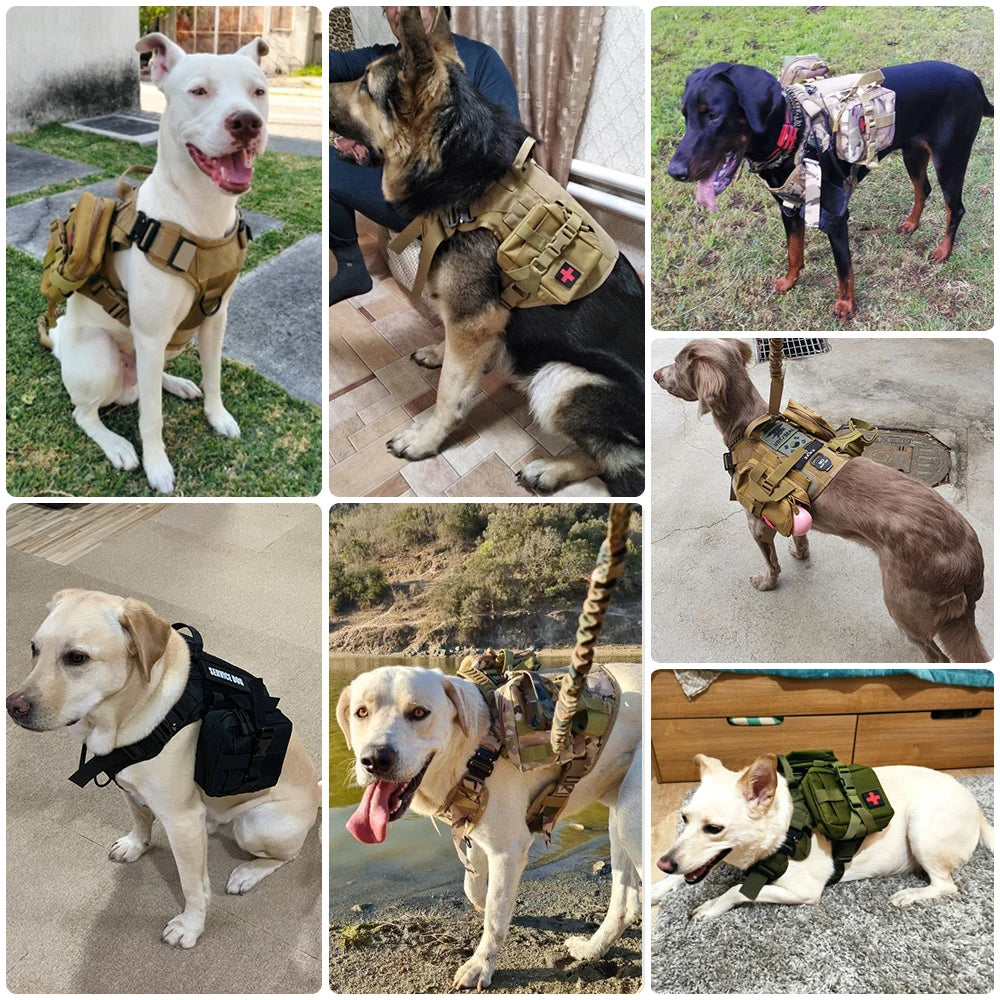 Tactical Dog Harness Leash Training Walking No Pull