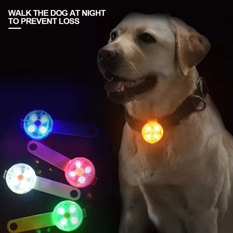 Dog collar, weatherproof LED safety light, rechargeable