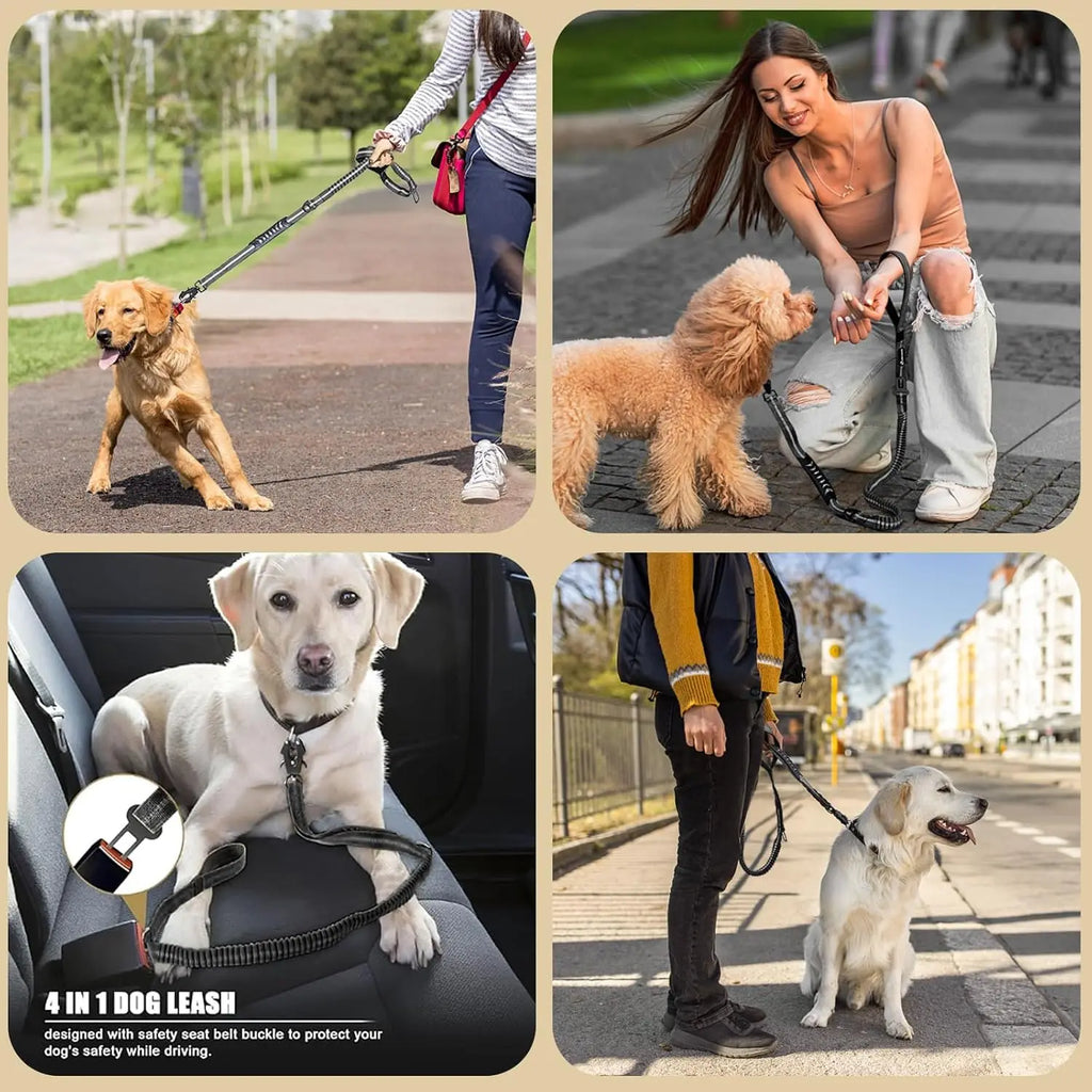 Reflective Shock Absorbing Pet Leashes Car Seatbelt