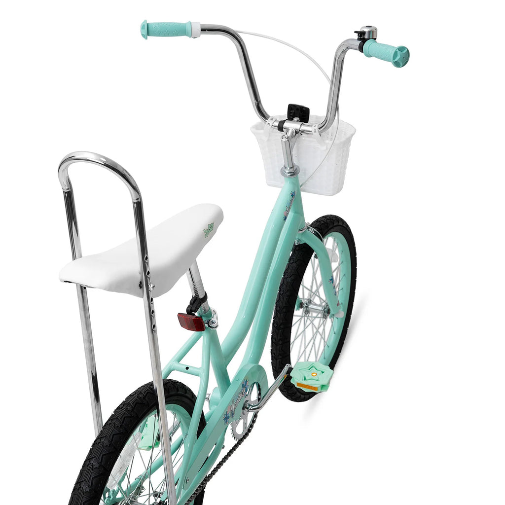 20 Inch Girls Bike with Training Wheels