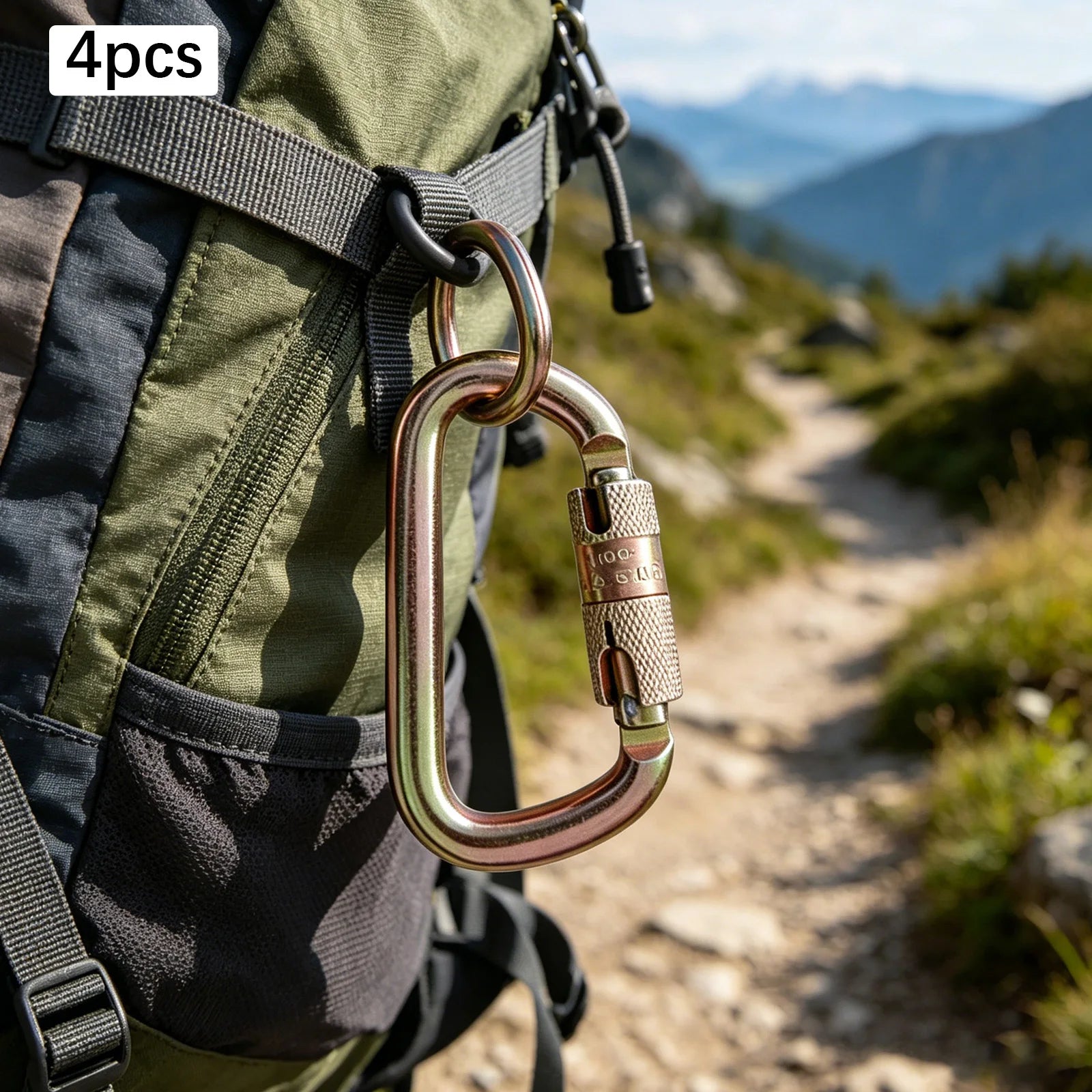 4-Pack Heavy-Duty Auto-Locking Carabiner