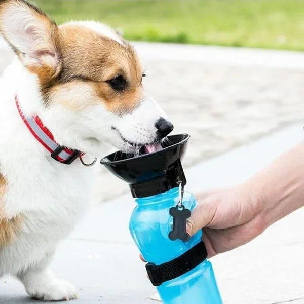 Drinking Water Feeder Bowl for Dog Cat
