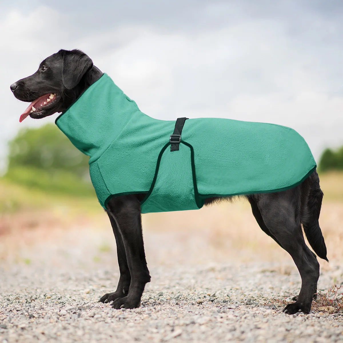 Warm Big Dog Vest Jacket