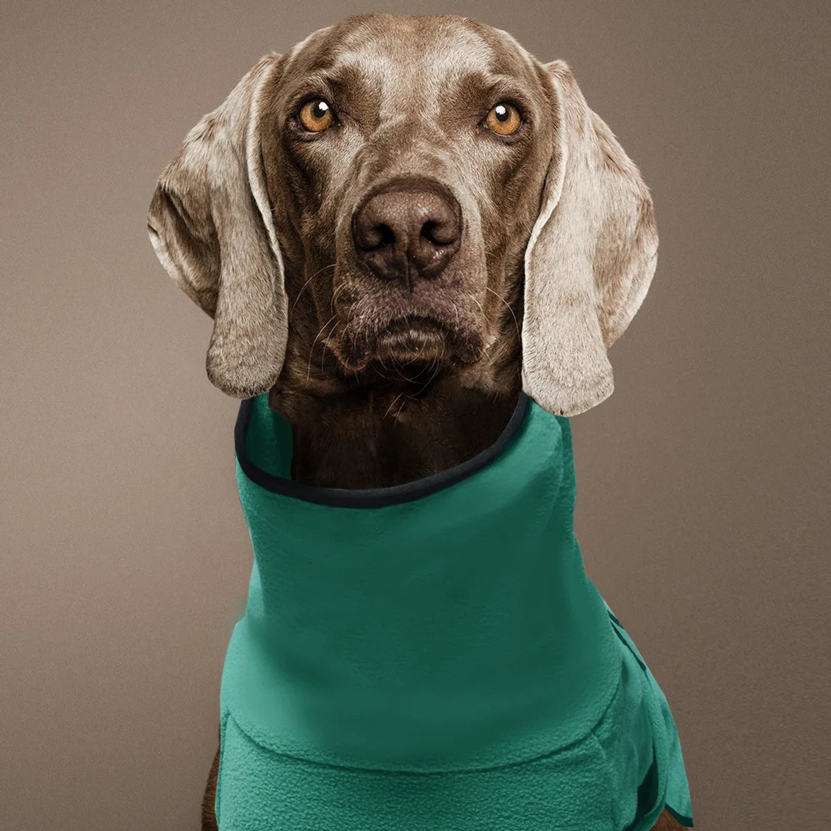 Warm Big Dog Vest Jacket