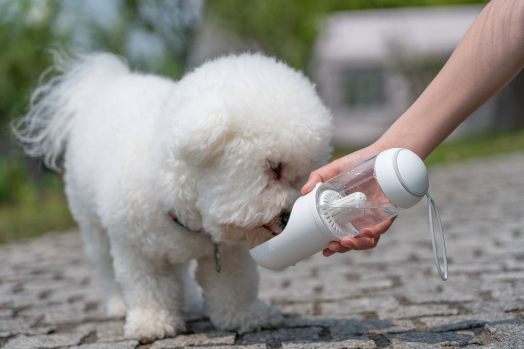 Pet Life ® Handheld Travel Filtered Water Feeder