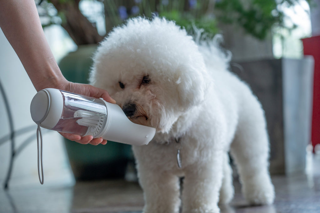 Pet Life ® Handheld Travel Filtered Water Feeder